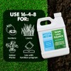 Advanced 16-4-8 Lawn Fertilizer - Liquid Lawn Food Spring &