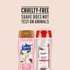 Suave Body Wash Variety 2-Pack – Sweet Vanilla Silk &