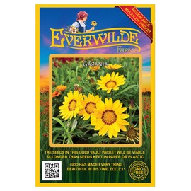 Everwilde Farms - 15 Gazania Wildflower Seeds - Gold Vault Jumbo Seed Packet