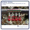 Ca' Bling (Holiday) Cane Accessorry