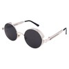 FEISEDY Vintage Round Lens Metal Frame Gothic Steampunk Sunglasses for