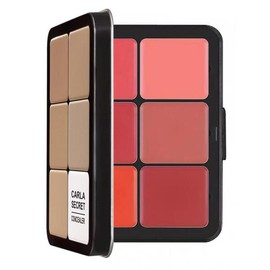 다리미 박스 컨실러 블러쉬 매트 하이라이트 팔레트 윤곽 메이크업 12 올인원 Iron Box Concealer Blush Matte Highlight Palette Contour Makeup 12 All-in-One [12 6 2]