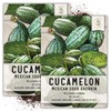 Seed Needs, Cucamelon/Mexican Sour Gherkin Seeds for Planting (Melothria scobra)