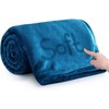IR Imperial Rooms Fleece Blanket - Super Soft Fluffy Throw