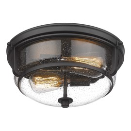 Emliviar 12 Inch Ceiling Light with Seeded Glass Shade - Indoor Outdoor Modern Flush Mount Ceiling Light Fixture, Black Finish, WE249F BK