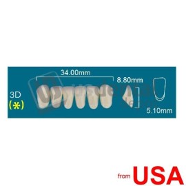 RAFAEL 3D Lower Anterior D2 (1 X 6)  Rafael 2 layers Denture Acrylic Teet 113267