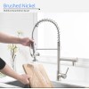 FLG Brushed Nickel Kitchen Faucet Single Handle Spring Faucet with