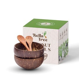 Bella Tree® Set of 2 Coconut Bowls with 2 Wooden Spoons