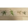 Artificial Turf, Realistic Type, Set of 10, 11.8 x 11.8