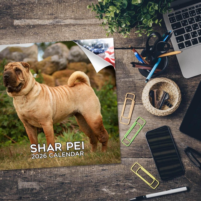 2025 2026 Shar Pei Calendar - Dog Breed Monthly Wall
