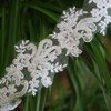 G-RUI 2yard Luxury Beaded Embroidery lace Appliques for Wedding Dresses