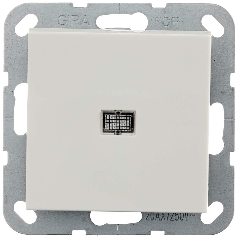 Gira System 55 283403 Rocker Switch 2-Pole Control 20 A