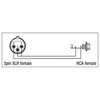 3p XLR F/ RCA F adapter