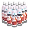 Mayoreo 1 Caja Shampoo De Caballo Zaire 12 Pz