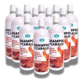 Mayoreo 1 Caja Shampoo De Caballo Zaire 12 Pz                                                                                                         