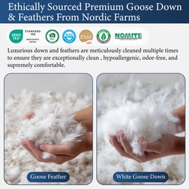 SANSWAN Luxury Goose Feathers Down Pillows Queen Size Set of 2 with Two-Sided Pillowcase, Hypoallergenic Hotel Quality Medium Firm Bed Pillow for Back,Stomach or Side Sleepers