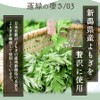越後酵素蓬緑 酵素ドリンク パウチタイプ 25ml×7包 お試し 無添加 酵素ドリンク ファスティング 置き換えダイエット