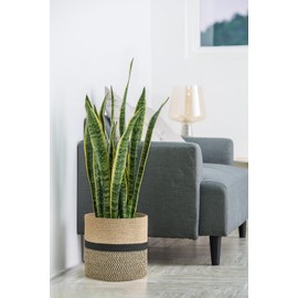 Dahey Jute Rope Plant Basket Modern Woven Storage Basket for 10" Indoor Planter, Decorative Flower Pots Cover Laundry Bin with Handle Rustic Home Decor, Black