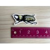Hercules Beetle Sticker, Insect Clear Vinyl Decal, Entomology Sticker, Bug