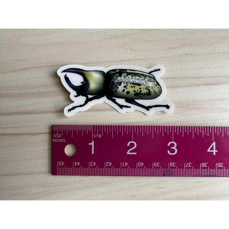 Hercules Beetle Sticker, Insect Clear Vinyl Decal, Entomology Sticker, Bug