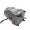 Variable Speed Geared Motor, 110V AC Gear Reduction Motor Adjustable