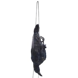 Etistta 17 inch Realistic Hanging Dead Crows Decoy Lifesize Extra Large Black Feathered Crow
