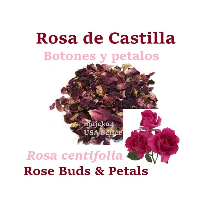 majcka4 Rosa de castilla Rosa de Castillo 12 oz Rose