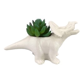 VanEnjoy Cute Cartoon Dinosaur Ceramic Succulent Planter, Water Culture Hydroponics Bonsai Cactus Flower Pot,Air Plant Vase Holder Desktop Decorative Organizer (Triceratops with Hole, White)