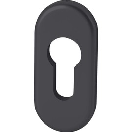 FSB 0 17 1757 00010 0810 Profile Cylinder Rosette PZ Oval Cylinder Rosette 32.5 x 70 x 7 mm Aluminium Matte Black Silver