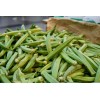 Southeast Seeds 50 Clemson Spineless Okra Seeds, NON-GMO, Gumbo