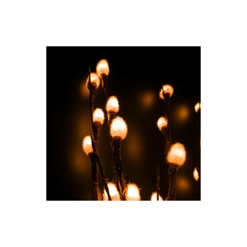 Light Garden 01761-184143 Electric Willow Lighted Branches