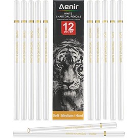White Charcoal Pencils, Pack of 12 Charcoal Drawing Pencils, Charcoal Pencils for Artists, Art Supplies for Drawing and Highlighting.