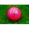 Cricket Ball - Pink Leather Match Quality (Adult)