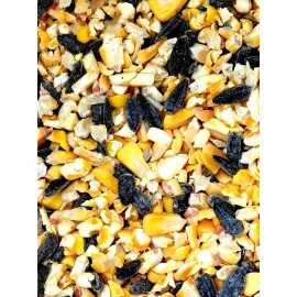 Midwest Grown Black Oil Sunflower Whole & Cracked Corn Wild Song Bird Squirrel Seed Food Feed - 2 Pounds