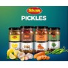 Shan Mixed Pickle 35.27 oz (1000g) - Spicy Vegetables Pickled