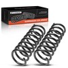 A-Premium 2Pcs Rear Suspension Coil Spring Set Compatible with Mazda