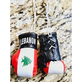 Country Flag Mini Boxing Gloves For Hanging - Country: Lebanon 🇱🇧