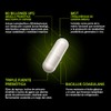 Probióticos Prebióticos Postbiótico Billones Ufc Fórmula Cepas Apoyo Digestivo Equilibrio