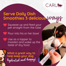 Caru - Daily Dish Smoothies - Lickable Peanut Butter Dog Treat or Pet Food Topper - .5oz Tubes - 4 Tubes per Pack - 12 Pack