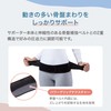 【公式ショップ】 骨盤ベルト メディエイド スタイルケア Lサイズ ブラック 反り腰 姿勢ケア 腰 サポーター
