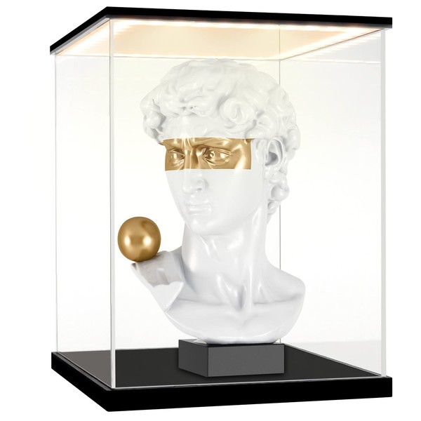 LASOA Acrylic Display Case with Warm Color Changing LED Light,