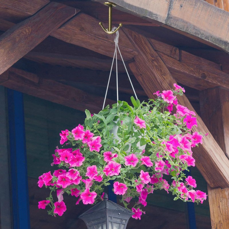 DEEKOUDT Ball Two Prong Ceiling Hook for Closet Top Bathroom