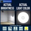 MaxFagell Motion Sensor Bright LED Night Light 6W 6500K Plug