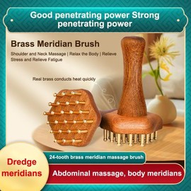 황동 구슬 마사지 괄사 빗 경락 브러시 핸들 포인트 내구성 있는 중국식 스파 지압 도구 Brass Ball Massage Comb Scratcher Brush Handle Point Durable Chinese Spa Acupressure Tool [01 A1]