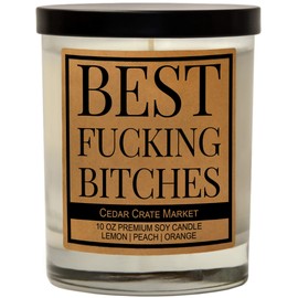 Best Friends, Friendship Candle Gifts for Women, Birthday Candle Gifts for Friends Female, Funny Candle for Bestie, Sister, BFF, Coworker, Boss, Going Away or Long Distance Gift, Relaxation