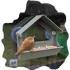 Small lightweight window mounted bird Feeder station with strong suction
