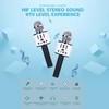 Q88 Microphone Wireless Bluetooth Karaoke LED Portable Handheld Black for