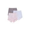 Bali Women's Skimp Skamp Brief Panty - 3 Pack, A633,