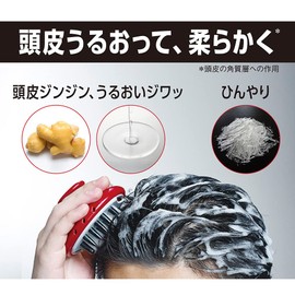 Pro Tec Scalp Stretch Shampoo