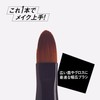 Kai NEROBIANCO KQ3503 2-Way Lip Brush, Make-up Brush, Wide, Tapered
